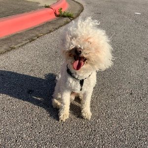 Meet your Posher, Alexis